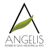 angelis