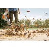 Stihl Φυσητήρας BG 56