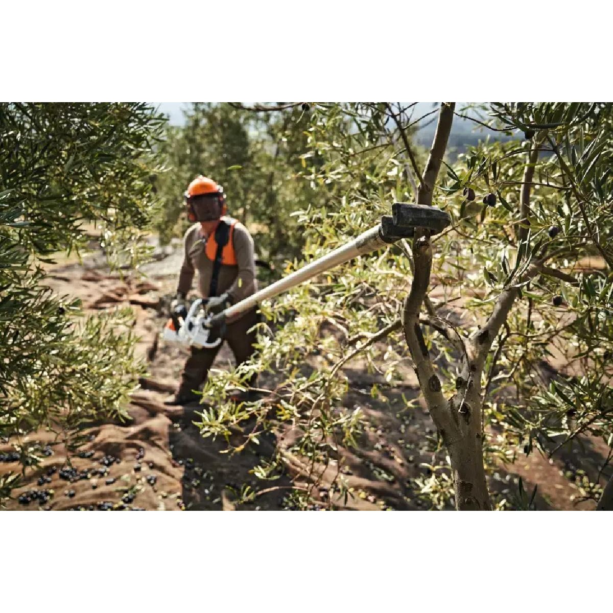 Stihl Olive harvester SP 452 with 2.60m hose