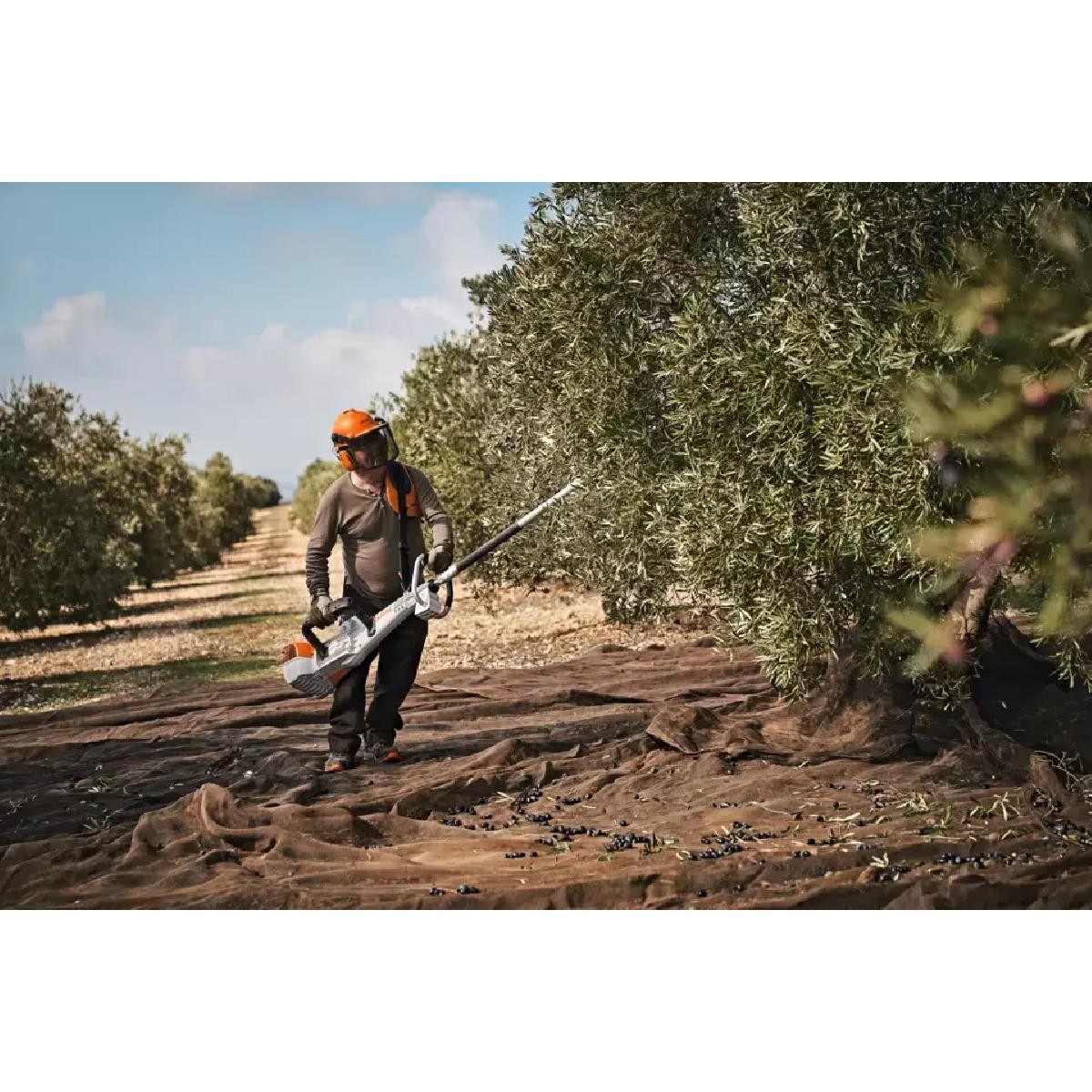 Stihl Olive harvester SP 482 with 2.26m hose