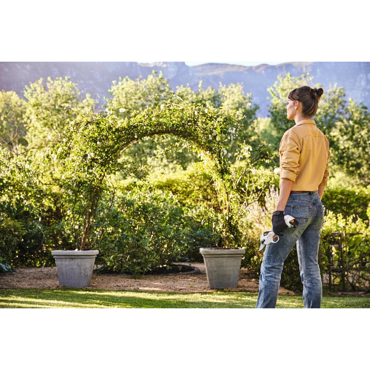 Stihl ASA 20.0 rechargeable scissors