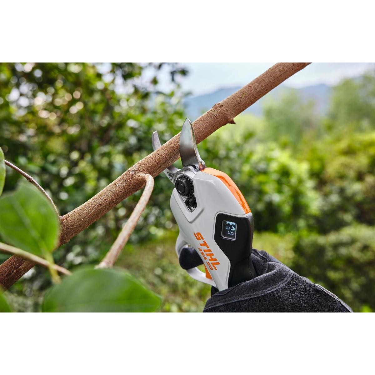Stihl ASA 20.0 rechargeable scissors