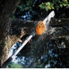Stihl Ηλεκτρικό τηλεσκοπικό HTE 60