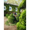 Stihl Ψαλίδι μπορντούρας HS 56 C-E