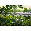 Stihl HSA 40 Επαναφορτιζόμενο ψαλίδι μπορντούρας, 500mm/20