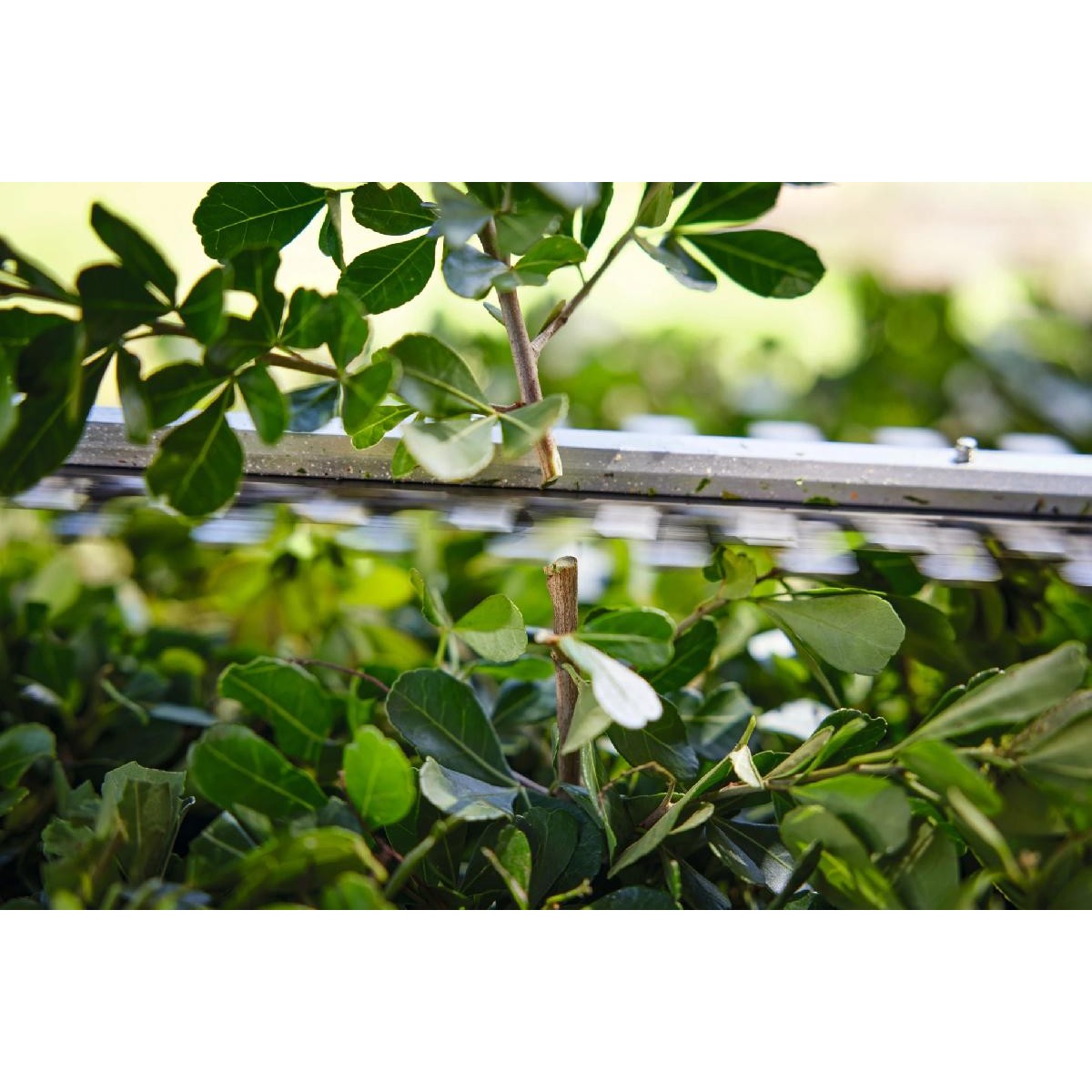 Stihl HSA 40 SET hedge trimmer