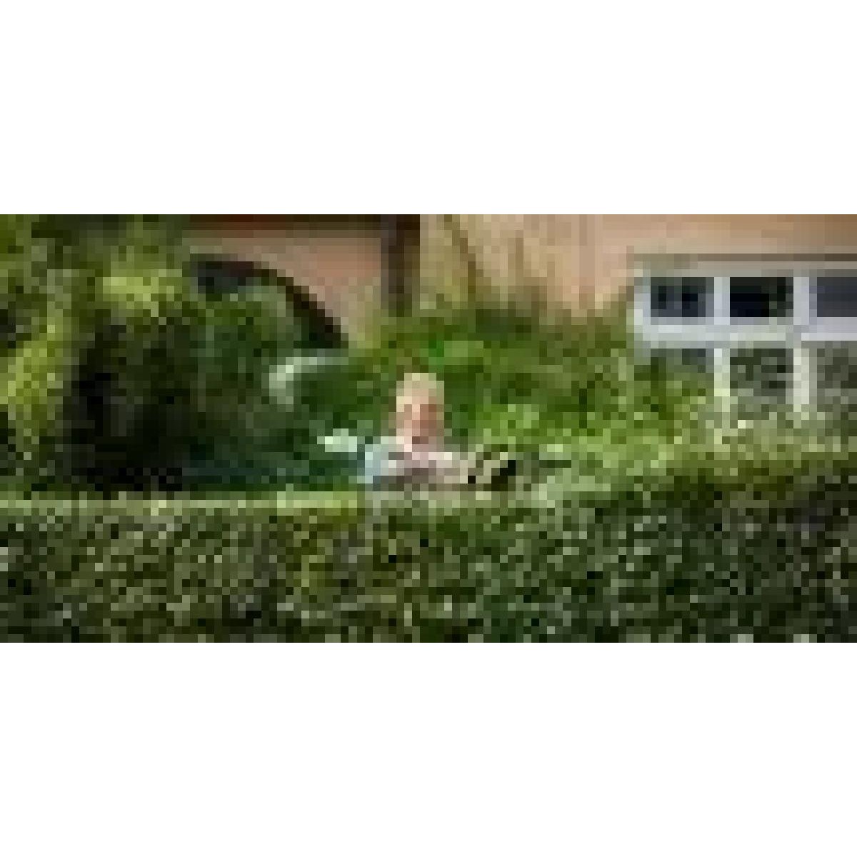 Stihl HSA 45 επαν/νο ψαλίδι μπορντούρας, 500mm/20