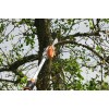 Stihl Επαν. Τηλεσκοπικό αλ/νο HTA 135 30CM
