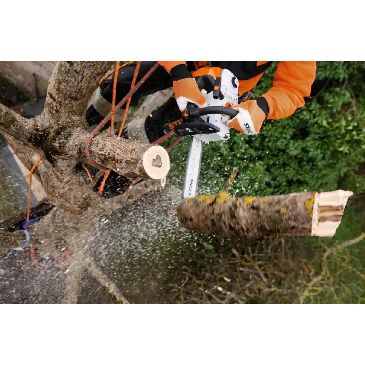 Stihl Αλυσοπρίονο MS 201 TC-M 35cm PM3