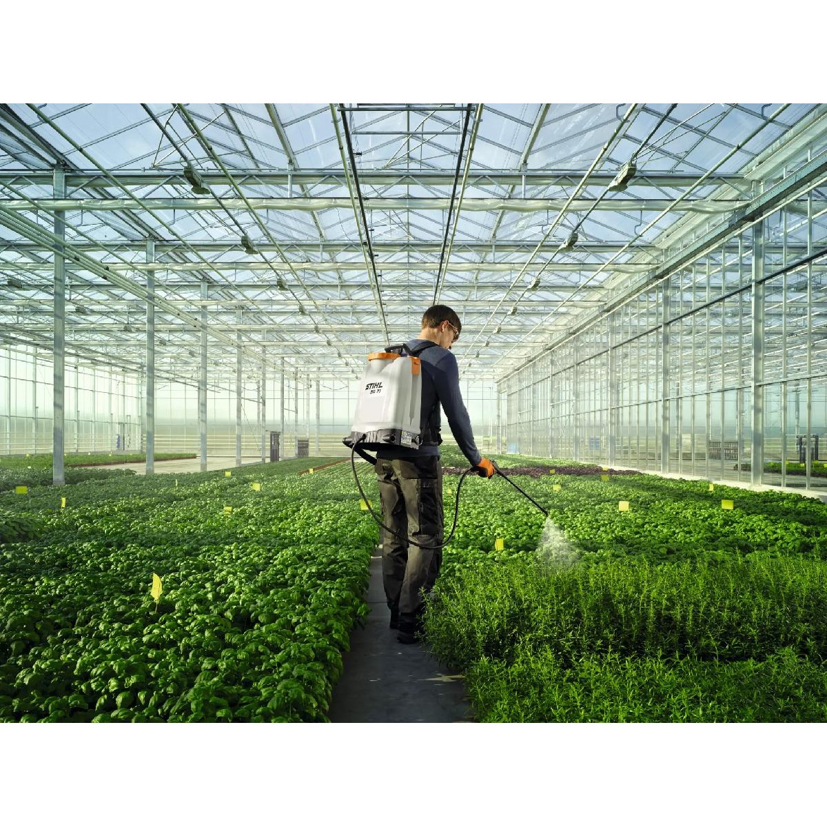 Stihl Sprayer SG 71 EU