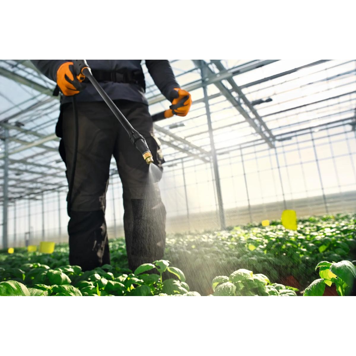 Stihl Sprayer SG 71 EU