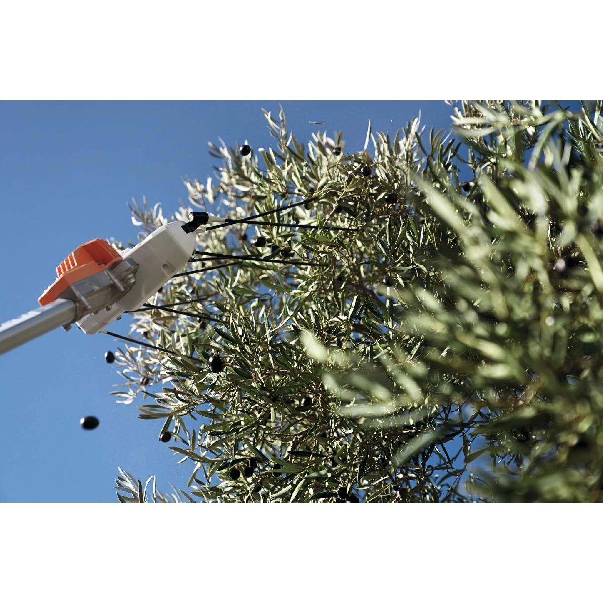 Stihl SPA 130.0 Rechargeable olive harvester