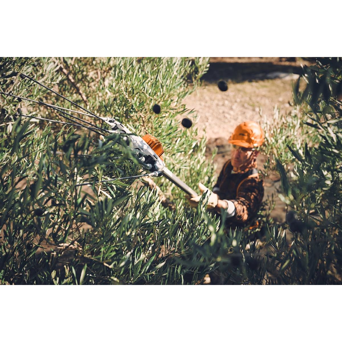 Stihl SPA 130.0 Rechargeable olive harvester