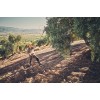 Stihl SPA 130.0 Επαναφορτιζόμενο ελαιοραβδιστικό