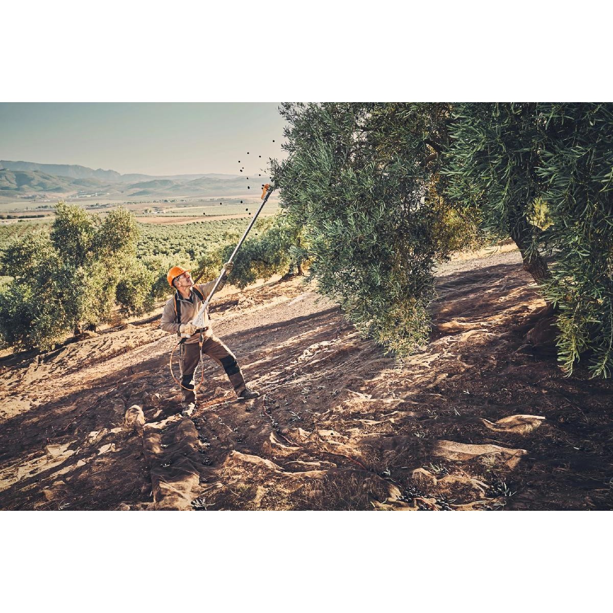 Stihl SPA 130.0 Rechargeable olive harvester