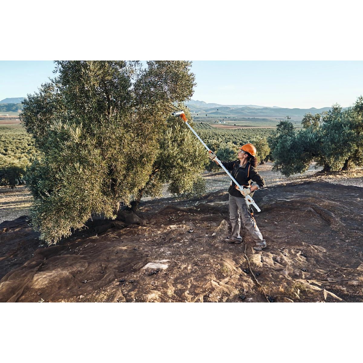 Stihl SPA 140.0 Rechargeable olive harvester
